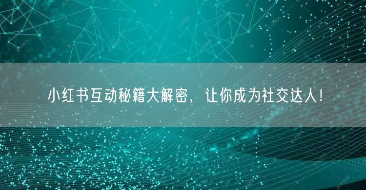 小红书互动秘籍大解密,让你成为社交达人!