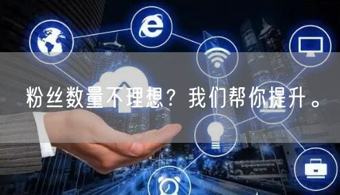 粉丝数量不理想?我们帮你提升。