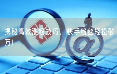 揭秘高效涨粉技巧,快手粉丝轻松破万!