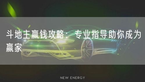 斗地主赢钱攻略：专业指导助你成为赢家