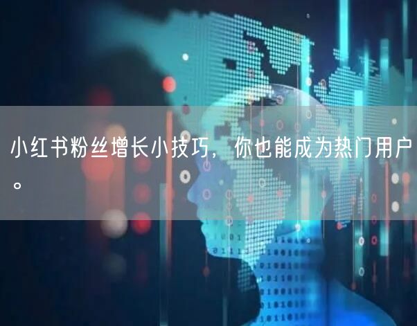 小红书粉丝增长小技巧,你也能成为热门用户。