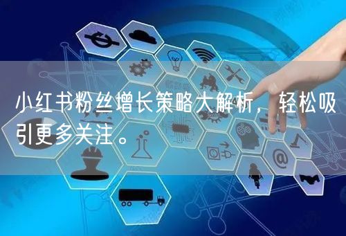 小红书粉丝增长策略大解析,轻松吸引更多关注。