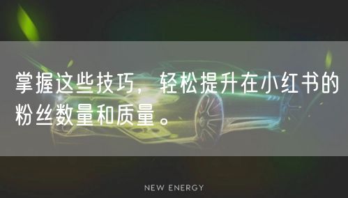掌握这些技巧,轻松提升在小红书的粉丝数量和质量。