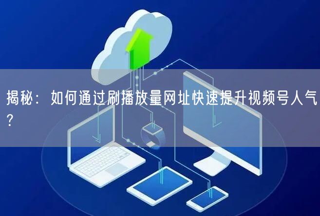 揭秘：如何通过刷播放量网址快速提升视频号人气？